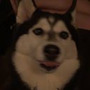 Dinonuggy