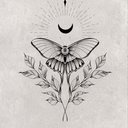 dark_moth