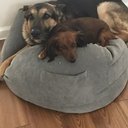 coco_loco