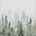 eviebracet