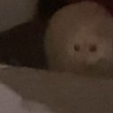 nood1esoup