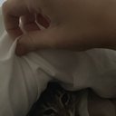 noopnoop06