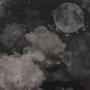 marr_012