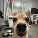 Avaavvaa