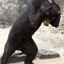 oxeaa