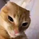 Drkyexi