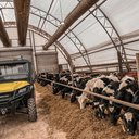 dairyfarms