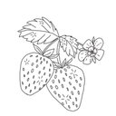 maisy_1224