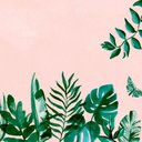 sam_crafty