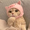 deardiary