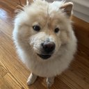 _chloeeee_