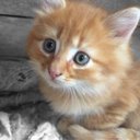 simbalion