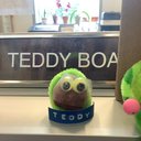 teddyjo