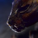 Moth_woman