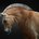 Heids_A