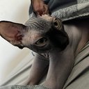 MartsymBoo