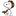 Nsnoopy