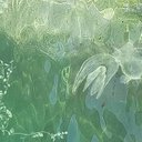 sirene