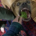 maggiemooo