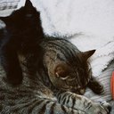 inkyandsky