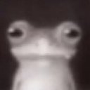 fernbm_