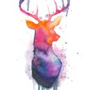 Deer_8971