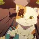 stray_c