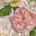 mona_makes