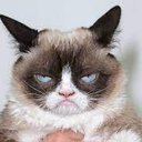 grumpycat