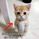 Alexqwq123