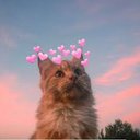 Eeveelover