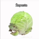 raviolli0h