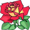 Buddy_ivy