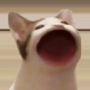 sirgarlic