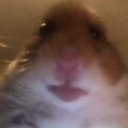 lynnutjuuu