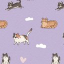 RachCatz25