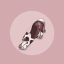 roseshade2
