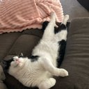 aubreyl