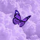 purple_bug