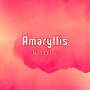 amaryllis_