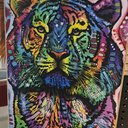 Animal15