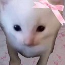 Konnfy