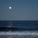 moonshxdow