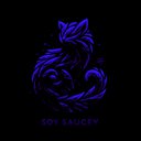 soysaucey