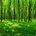 GreenLover