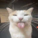 panncake