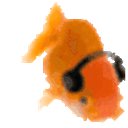 Fish_Oh