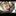 brionyncat