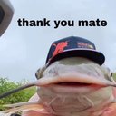 cbear444