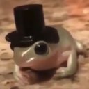 _frogspawn